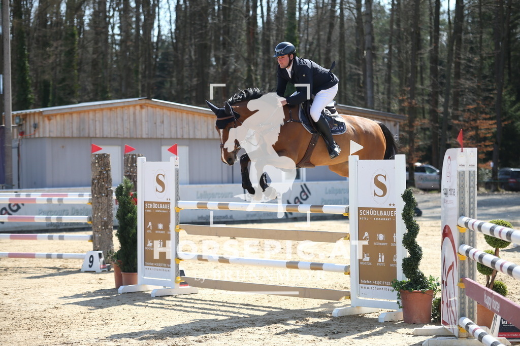 AS8V3640 | Willkommen bei Brunnmayr - Design & Fotografie – Ihrem Spezialisten für Reitturniere und Pferdeveranstaltungen in Oberösterreich, Salzburg und Bayern! Seit über 17 Jahren sind wir leidenschaftlich dabei.