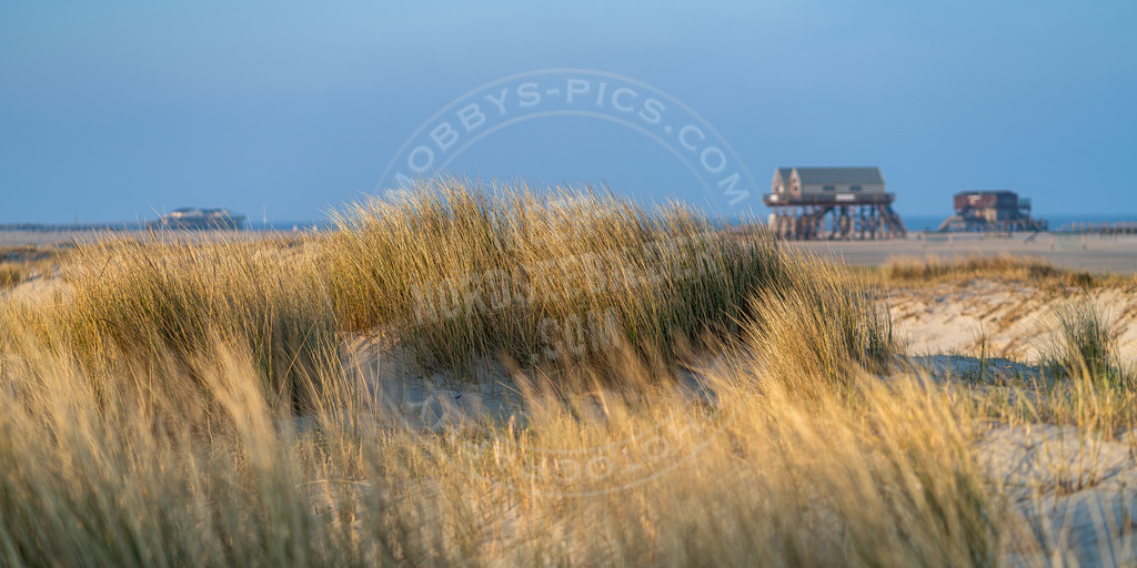 Skyline Pfahlbau | Dünengras im Morgenlicht