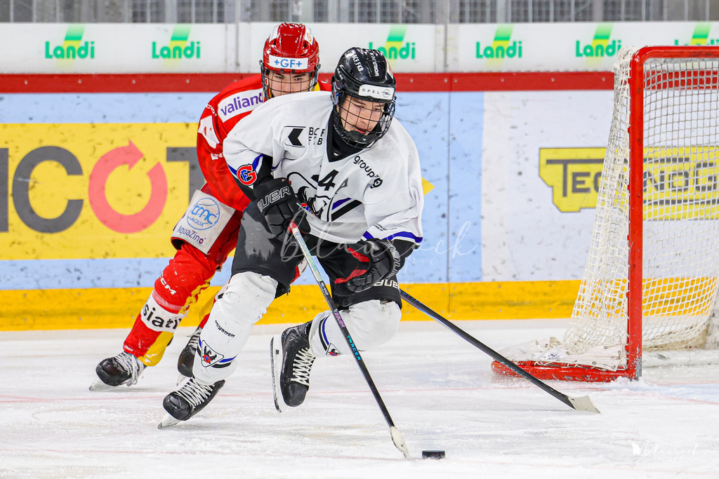 EHCB Spirit vs HCFG_wb-8396 | Sportbilder, Sportfotograf, Hochzeits- und Eventfotografin, Flugshows, Portraits und Tiershooting, Aviation, Downhill, Nationalleague, Swissleague, International