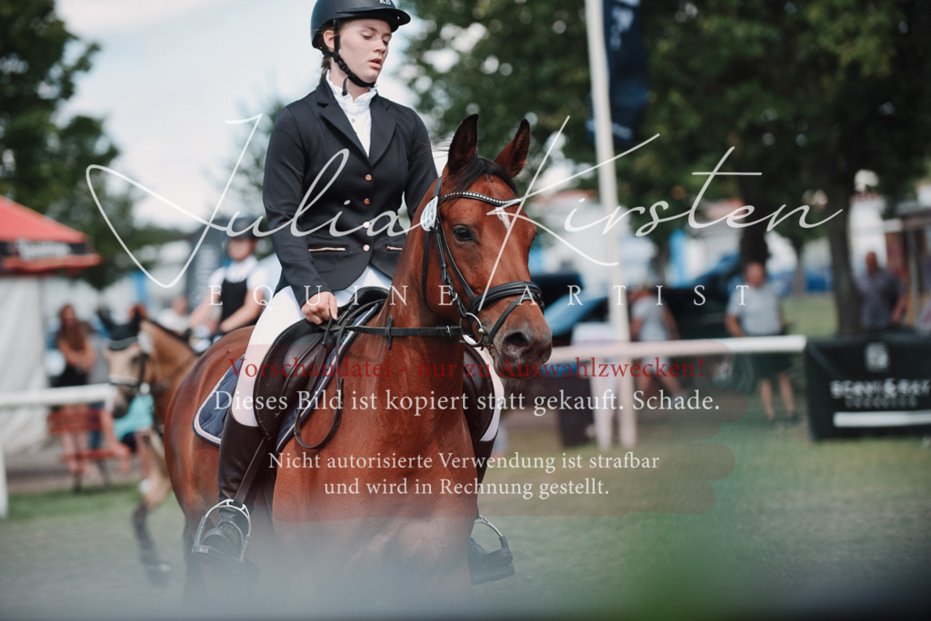 DSC_5838 | Pferde- und Turnierfotografie in Westsachsen. Pferdeportraits, Auftragszeichnungen und intuitive Kunst.