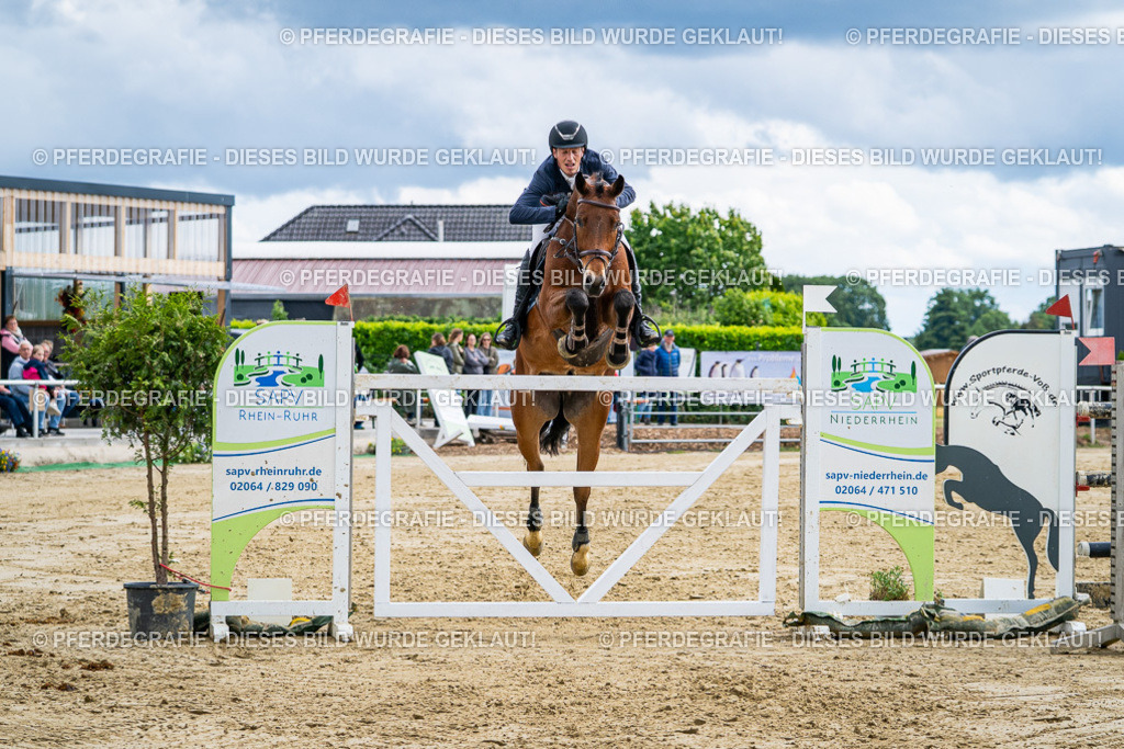 DSC06187 | Pferdegrafie