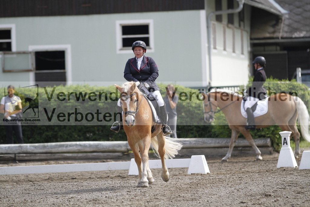 _MG_9734 | equestrian-live-com