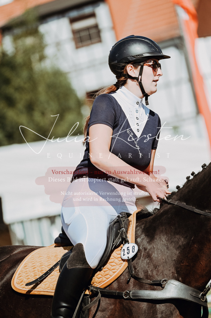 DSC_9650 | Pferde- und Turnierfotografie in Westsachsen. Pferdeportraits, Auftragszeichnungen und intuitive Kunst.