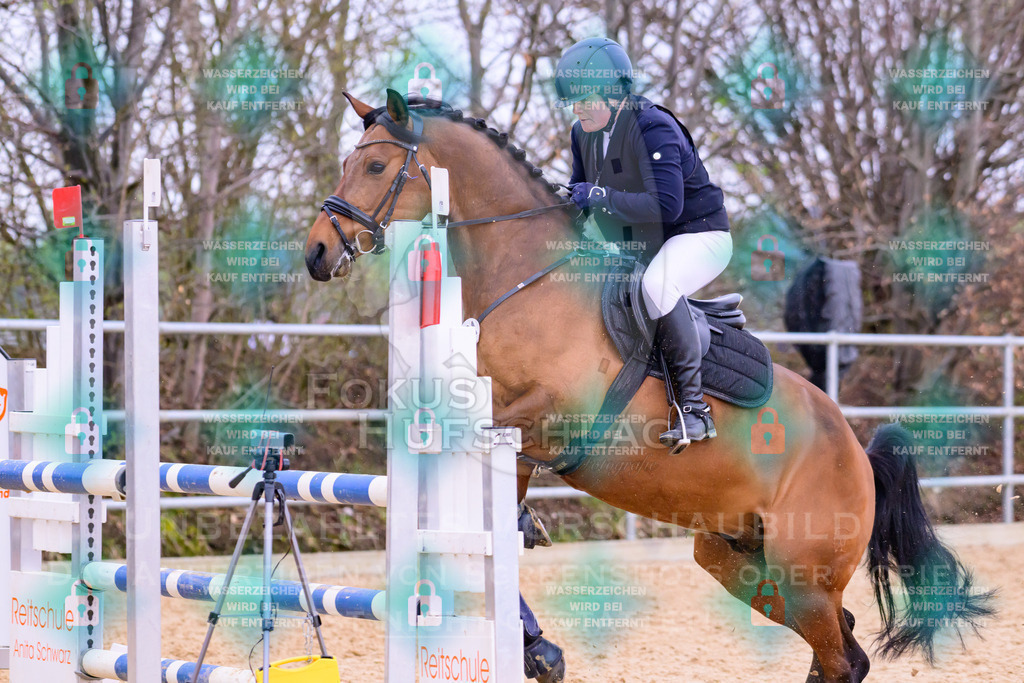 10042026-Mammendorf-Prfg17-0860 | Fokus Hufschlag Fotografie - Realisiert mit Pictrs.com