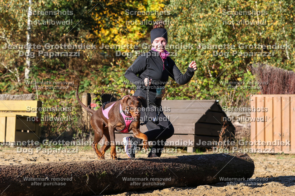 Dog Paparazzi - Strongdog 10-25-1434 | Dog Paparazzi Jeanette Grottendiek Fotografie & Videografie - Realisiert mit Pictrs.com