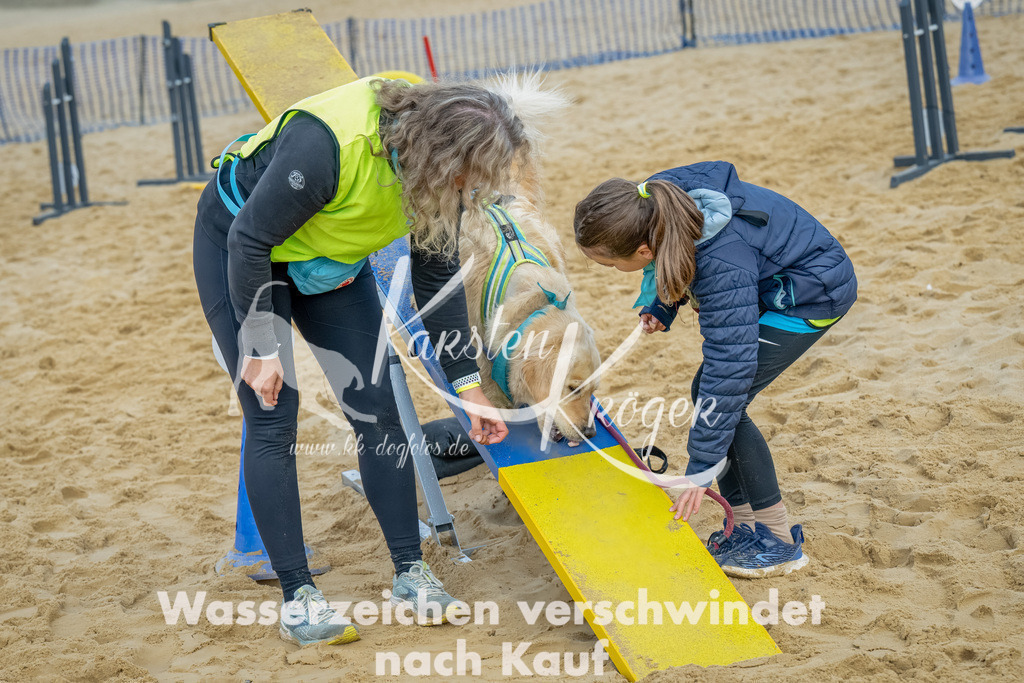 0921_ZZ92309-Bearbeitet | kk-dogfotos
