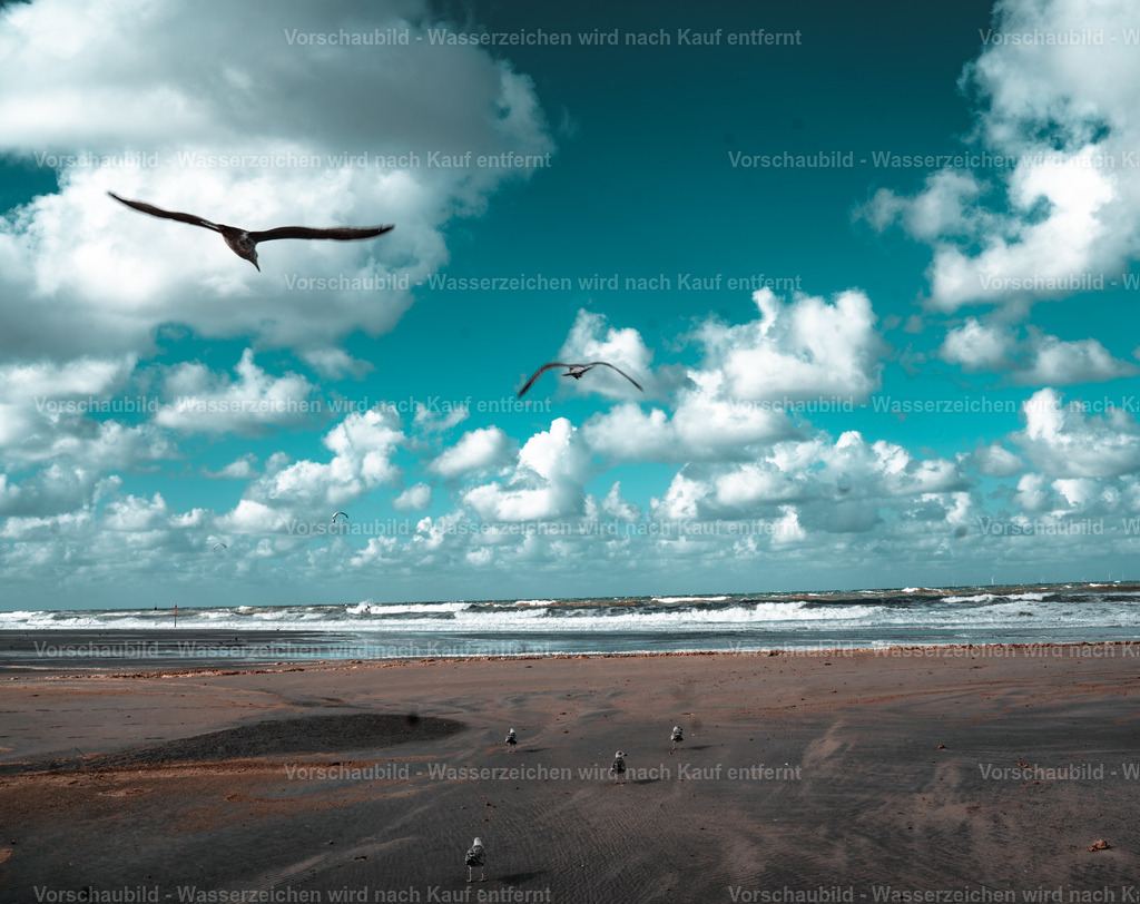 DSC00876-Enhanced-NR | marcuslinek