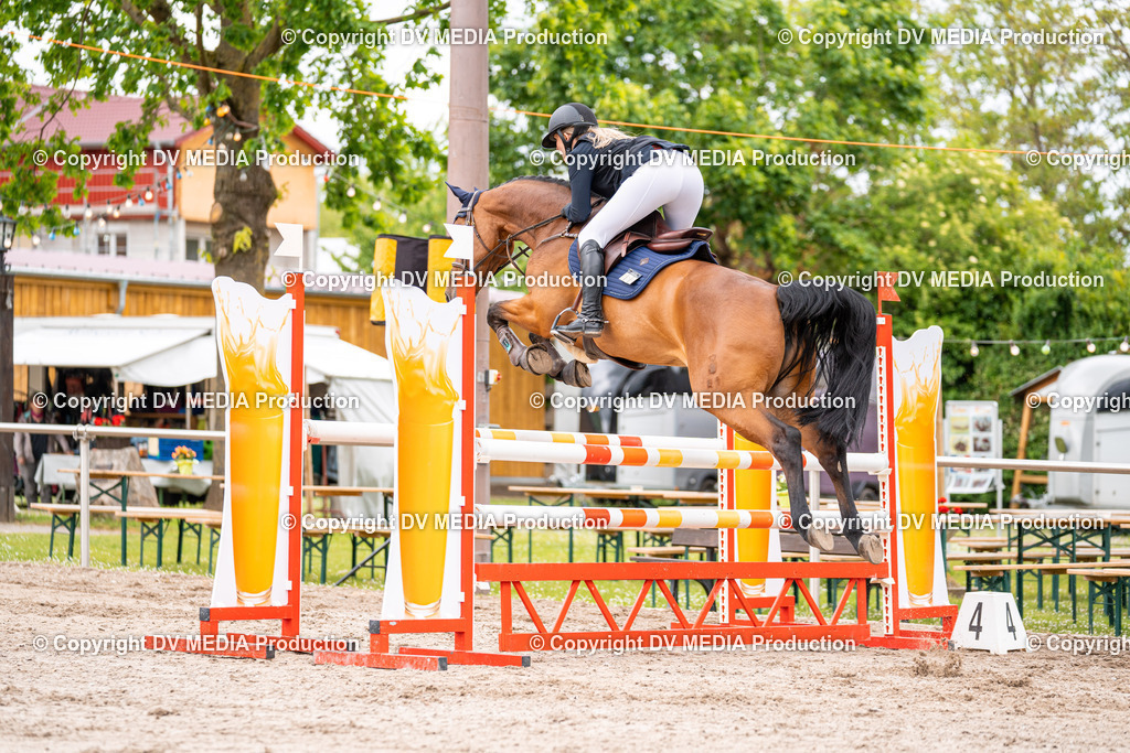 Eppelheim Tag 1-132 | dv-media-shop - Realisiert mit Pictrs.com