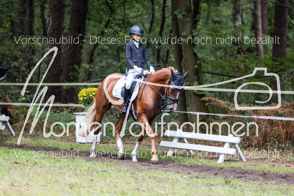 HB-Reiter-WB-055 | MomenTaufnahmen Pferdesportfotos