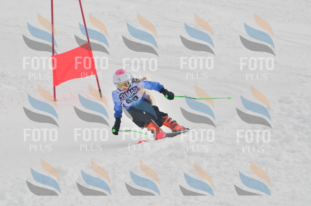 A5484 | holidayphoto