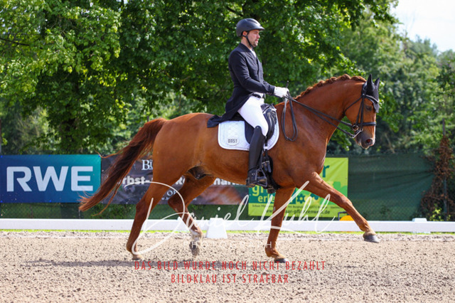 DKP41275 | Deine Turnierfotos vom Reitturnier online kaufen: Dressur, Springen & Siegerehrung. Professionelle Pferdefotografie aus dem Rheinland – als Download & Print.Alternative: Turnierfotograf für den Pferdesport: Finde deine Fotos von Dressur- und Springturnier