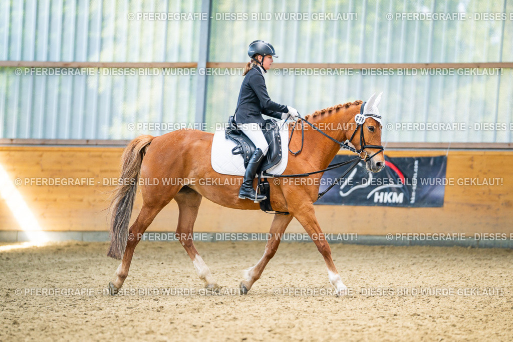 DSC02917 | Pferdegrafie