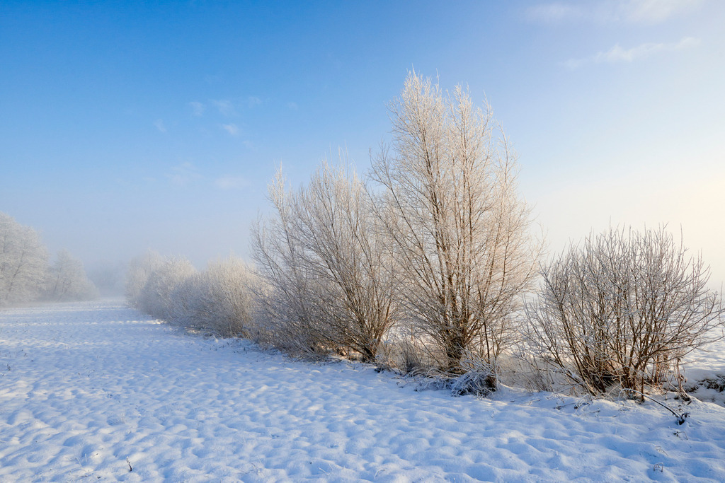 Winterlandschaft im Zickenbachtal | Rohr, Austria - February 02, 2015: Zickentaler Moor, Winterlandschaft im Zickenbachtal. - Realisiert mit Pictrs.com