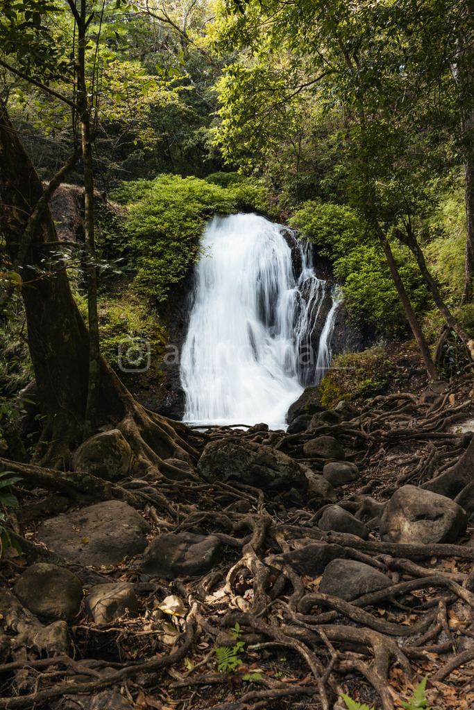 JB3A4021 | antonija-trupina - Realisiert mit Pictrs.com