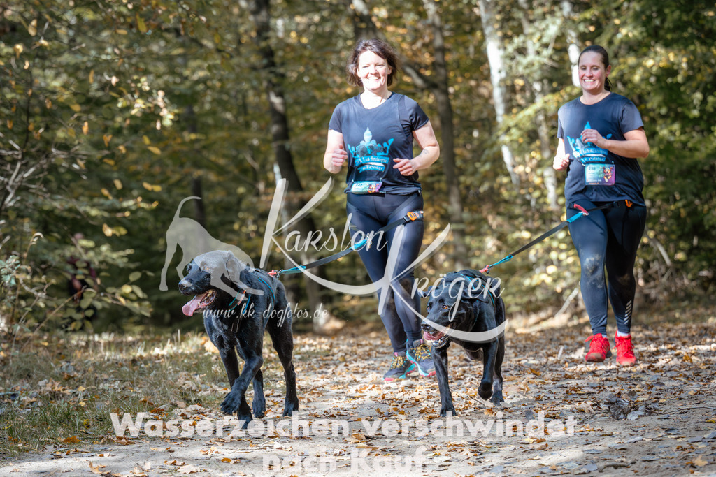 1251_ZZ96472 | kk-dogfotos