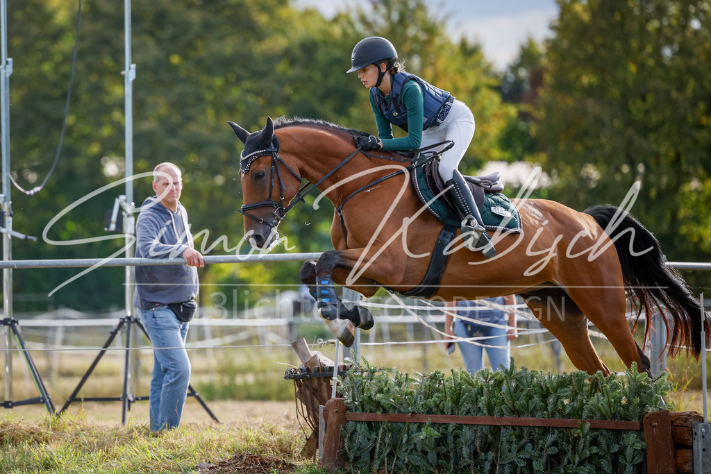20250905-_3LI2265 | Tierfotografie Pferde, Hunde, Katzen, Haustiere.
Turnierfotografie Reitturniere, Reiten, Springreiten, Dressur in Hanau, dem Main-Kinzig-Kreis und dem Rhein-Main- Gebiet um Frankfurt
