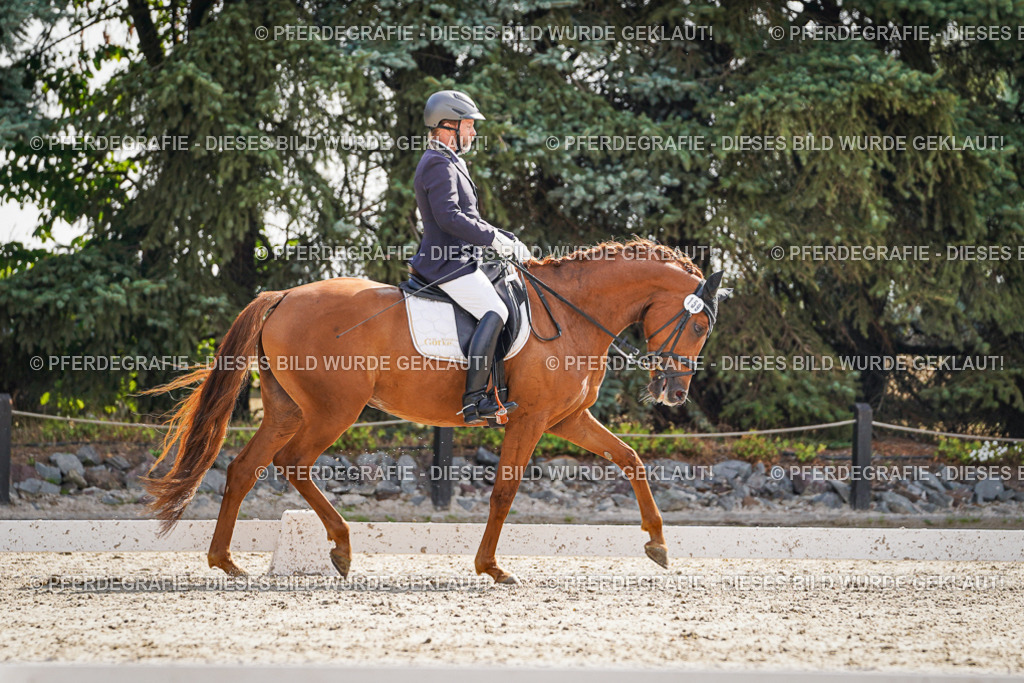 DSC06807 | Pferdegrafie