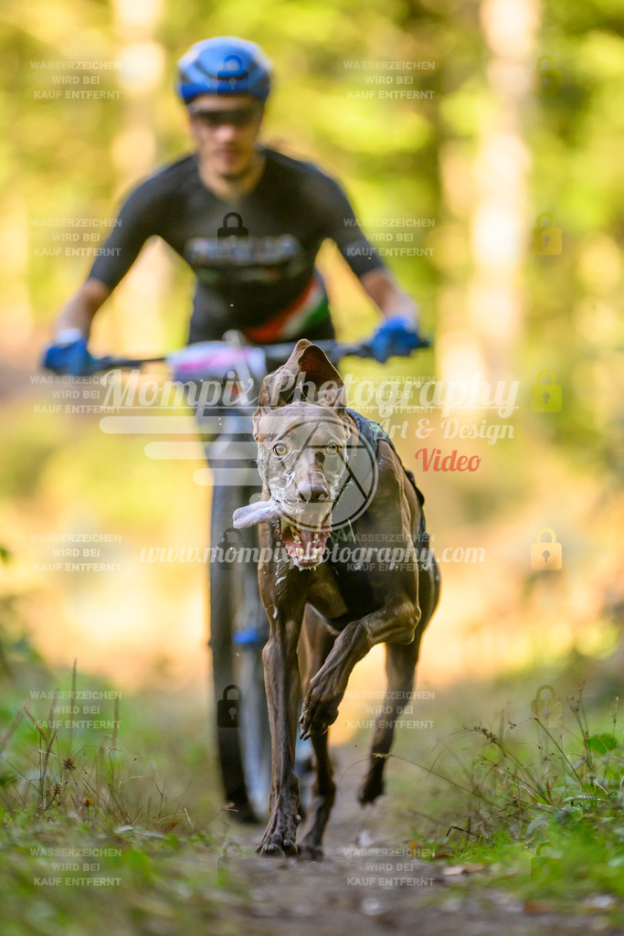 MompixPhotography_Yens2025_B3-161 | PayLife