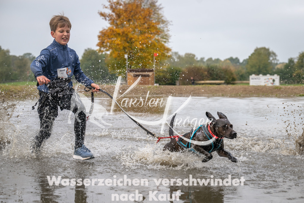 0919_ZZ94680 | kk-dogfotos