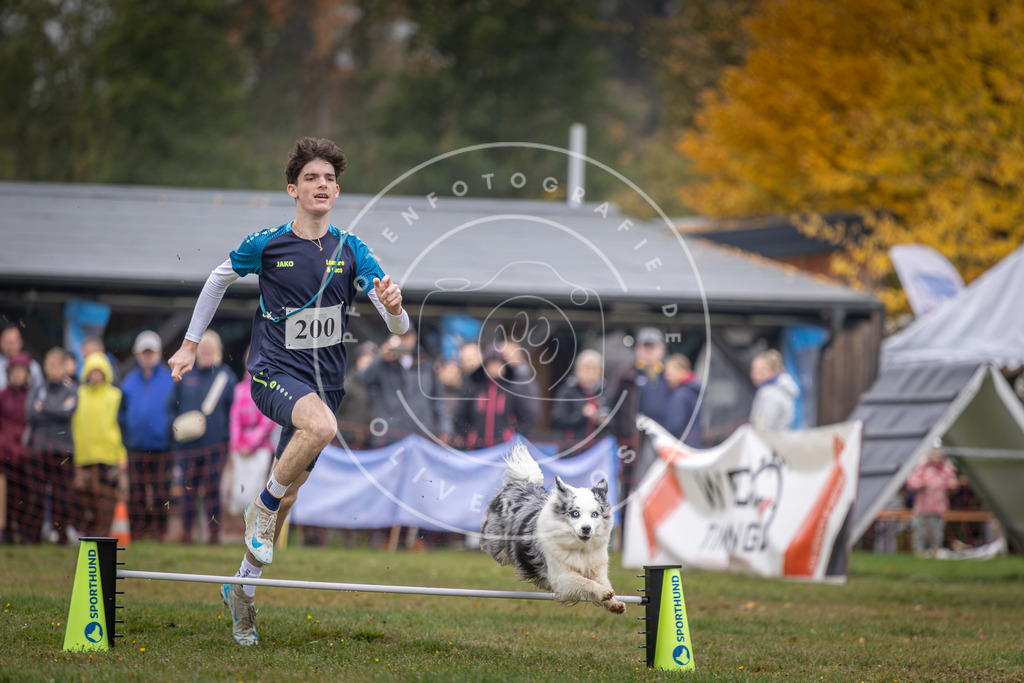 Pfotenfotografie_DV3A0836 | Hundefotografie, Tierfotograf, Pfotenfotografie, Fotoshooting Hund, Hunde Portrait, Hundesport, Hundeportraits, Heideshooting, Hunde, Sportfotograf, Hundefotograf, Turnierhundsport, THS,  - Realisiert mit Pictrs.com