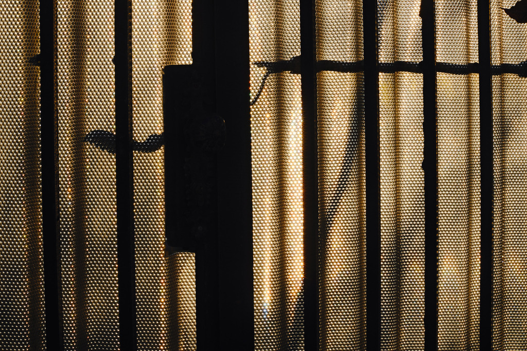 Schatten einer eisernen Gartentür | Austria - January 27, 2025: Schatten einer eisernen Gartentür- - Realisiert mit Pictrs.com