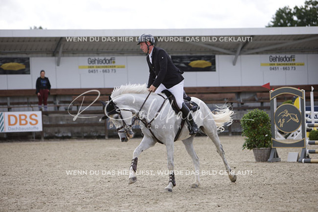 1J2A1493Klas-Kristoff Kudlinski_ Murphy me BE_ Kn758_ Havekost | Foto- und Videografie für alles rund ums Pferd. Hochwertige Bilder und Videos vom Spring- und Dressurreiten, Voltigieren & mehr. Jetzt aktuelle Veranstaltungen und Preise im Shop ansehen. - Realisiert mit Pictrs.com