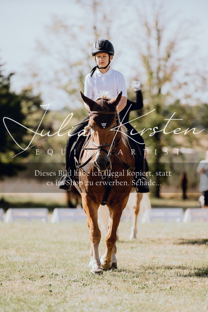 DSC_6871 | Pferde- und Turnierfotografie in Westsachsen. Pferdeportraits, Auftragszeichnungen und intuitive Kunst.