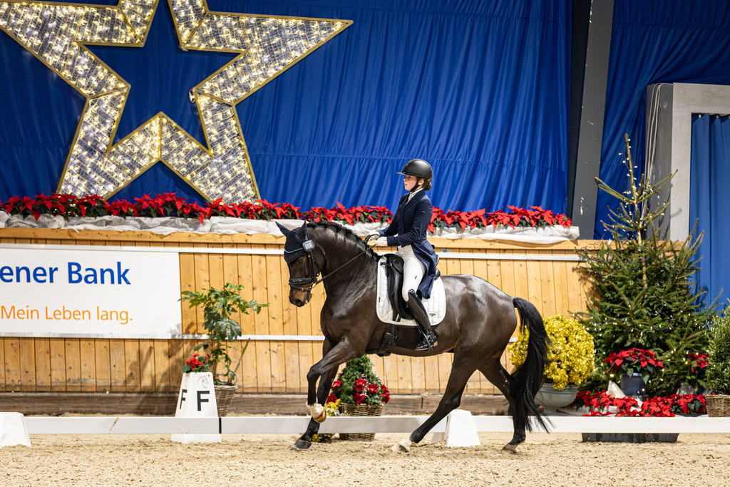 126A1167 | jasminmetznerfotografie