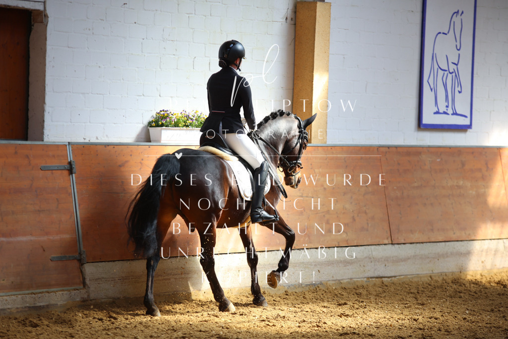 IMGT7515 | pl-fotografie