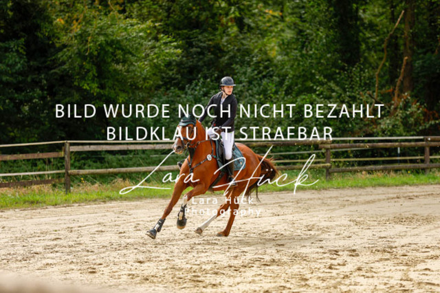 _62_9168 | larahueckfotografie