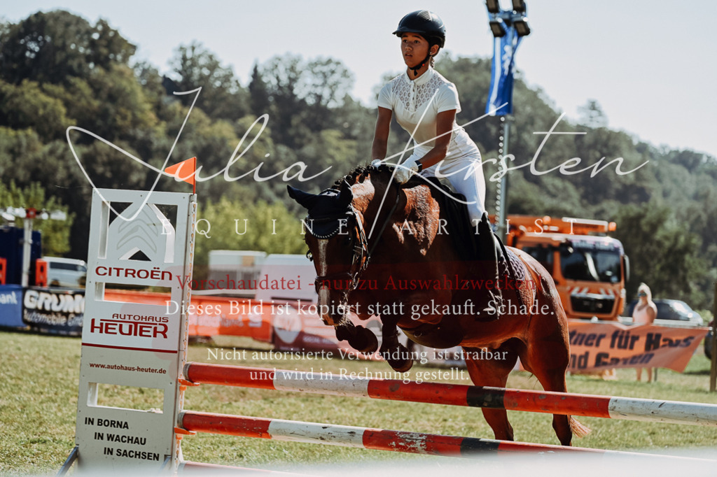 DSC_6696 | Pferde- und Turnierfotografie in Westsachsen. Pferdeportraits, Auftragszeichnungen und intuitive Kunst.