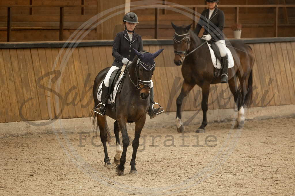 994A3931 | sabrinanicolaifotografie - Realisiert mit Pictrs.com