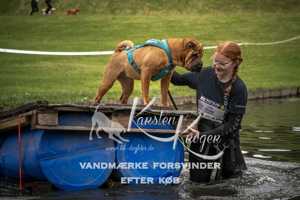 1101_ZZ95872 | kk-dogfotos