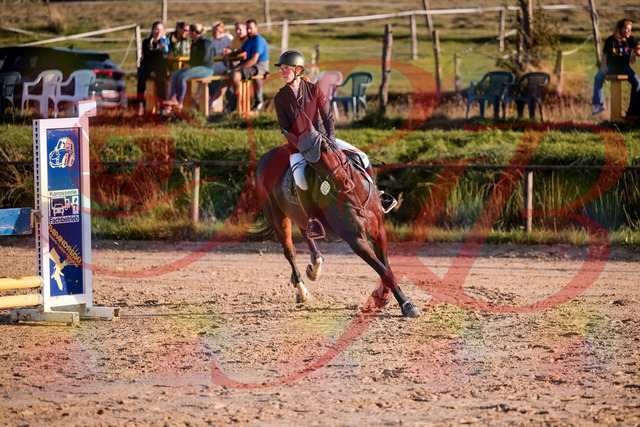 2026_10_03_Siefer-Hof_171901_Z81_16908630 | Professionelle Reitsport-, Turnier- und Eventfotografie von Robert Broda. Galerien mit ausgewählten und bearbeiteten Bildern direkt online ansehen und bestellen.