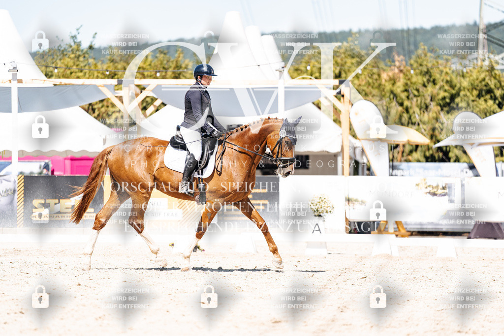CK900081 | Turnierfotografie Pferdefotografie Trier Rheinland-Pfalz Pferdesport Reitsport Tierfotografie Sportfotografie Pferdevideo Pferdevideografie Equestrianvideography equestrianphotography  - Realisiert mit Pictrs.com