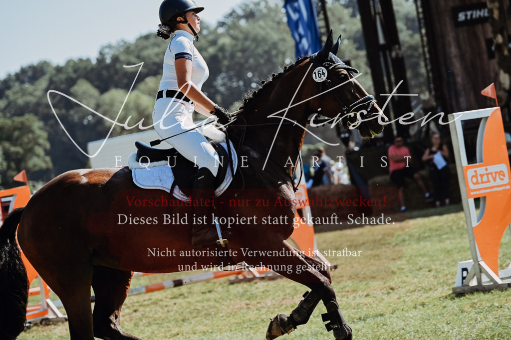 DSC_5957 | Pferde- und Turnierfotografie in Westsachsen. Pferdeportraits, Auftragszeichnungen und intuitive Kunst.