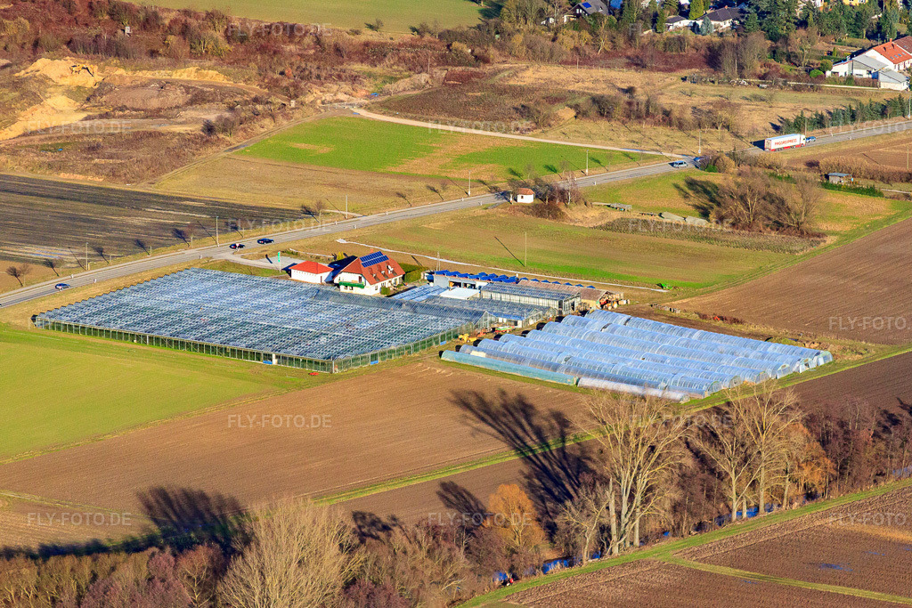 Luftbild: Biogärtnerei/-Laden in Herxheim bei Landau im Bundesland Rheinland-Pfalz in Deutschland. Foto: IMG_37109.jpg vom 22.01.2011 durch Werner Riehm/FLY-FOTO.de