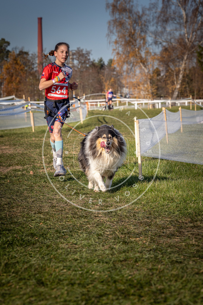 CaniXpix_0L8A7911 | Hundefotografie, Tierfotograf, Pfotenfotografie, Fotoshooting Hund, Hunde Portrait, Hundesport, Hundeportraits, Heideshooting, Hunde, Sportfotograf, Hundefotograf, Turnierhundsport, THS,  - Realisiert mit Pictrs.com