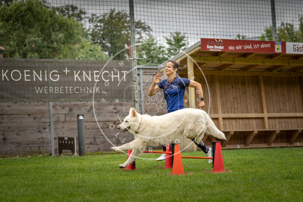 Pfotenfotografie_DV3A8533 | Hundefotografie, Tierfotograf, Pfotenfotografie, Fotoshooting Hund, Hunde Portrait, Hundesport, Hundeportraits, Heideshooting, Hunde, Sportfotograf, Hundefotograf, Turnierhundsport, THS,  - Realisiert mit Pictrs.com