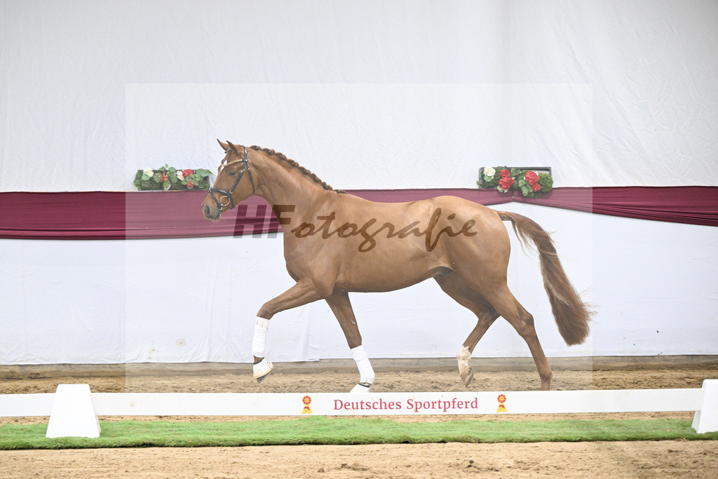 Kat-Nr. 133 Von Und Zu x Locksley III_Sabine Lehner_47254510 | hf-fotografie - Realisiert mit Pictrs.com