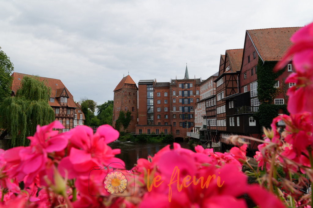 Lüneburg, umrahmt von Geranien | Dies ist der Shop von Florian Blum - le fleuri. Langenthal, Bern, SchweizSie können hier meine oder ihre eigenen Fotos als Fotoprodukte kaufen. Tassen, Schlüsselanhänger, Taschen etc. können Sie hier gestalten.  - Realisiert mit Pictrs.com