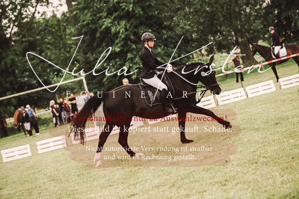 DSC_5126 | Pferde- und Turnierfotografie in Westsachsen. Pferdeportraits, Auftragszeichnungen und intuitive Kunst.