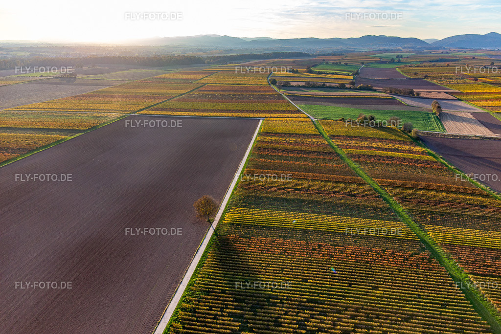 Weinberge der südlichen Wienstraße  im Herbstlaub | Luftbild: Weinberge der südlichen Wienstraße  im Herbstlaub im Ortsteil Ingenheim in Billigheim-Ingenheim im Bundesland Rheinland-Pfalz in Deutschland. Foto: IMG_143698.jpg vom 25.10.2024 durch ©2025 Werner Riehm fly-foto.de/copyright - Realisiert mit Pictrs.com