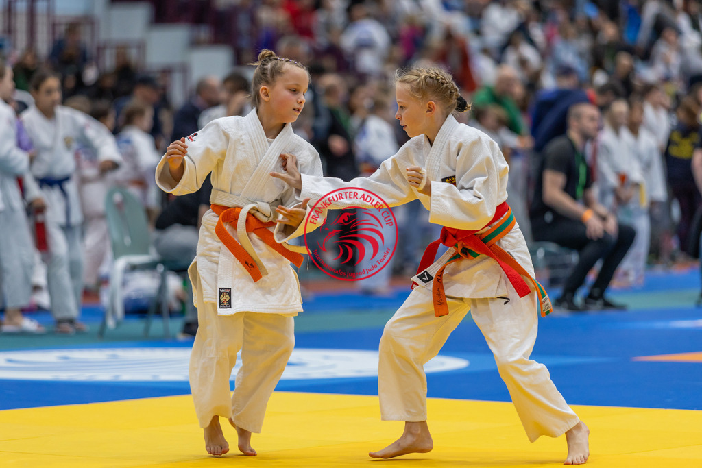 Internationaler Adler Cup 2024 | Foto vom Internationalen Adler Cup Judo Turnier im Sport- und Freizeitzentrum Kalbach im Oktober 2024 - Realisiert mit Pictrs.com