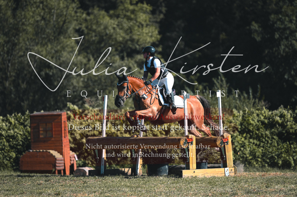 DSC_8630 | Pferde- und Turnierfotografie in Westsachsen. Pferdeportraits, Auftragszeichnungen und intuitive Kunst.
