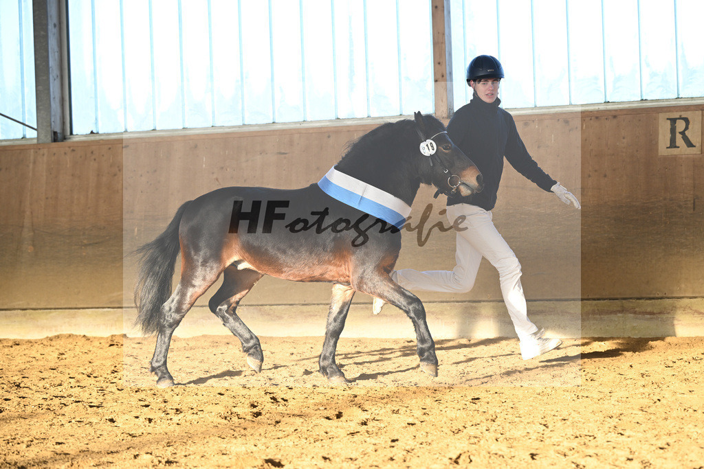 Kat-Nr. 19 Hells Hadrian v. Hells Bells_Guenthner_49250861 | hf-fotografie - Realisiert mit Pictrs.com