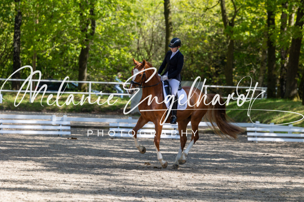 7I8A4963 | melanie-engelhardt-photography - Realisiert mit Pictrs.com
