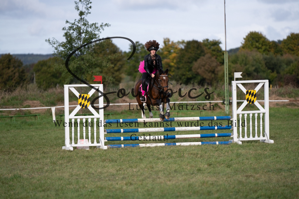 A7V06534 | Pferdefotograf