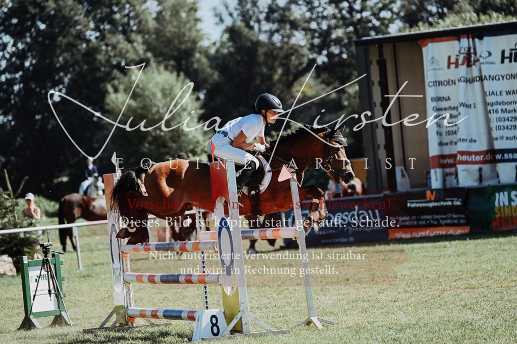 DSC_6188 | Pferde- und Turnierfotografie in Westsachsen. Pferdeportraits, Auftragszeichnungen und intuitive Kunst.