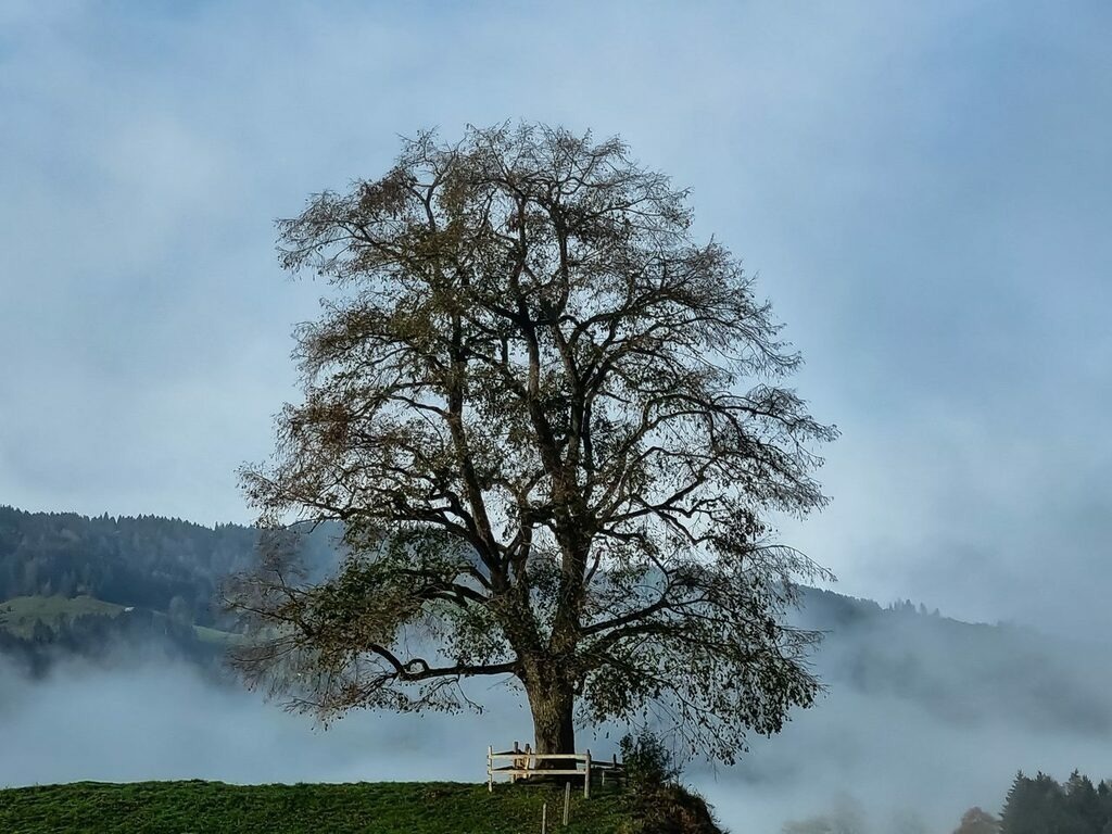 PSX_20221117_003800 | mtkfoto_ - Realisiert mit Pictrs.com